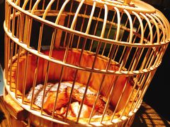 -胡桃里音乐酒馆(环亚凯瑟琳广场店)