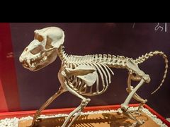 -国家自然博物馆