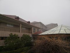 -金孔雀温泉旅游度假村