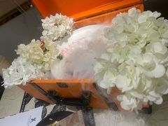 -LE SHARE洛笙·花园西餐(北京路步行街店)