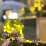 情调之夜 烛光共鉴