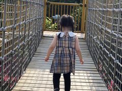 -美的鹭湖探索王国