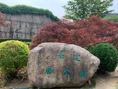 -嘉定紫藤园