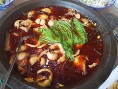 -都江堰石锅鱼