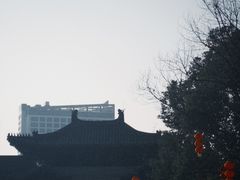 -三垟湿地