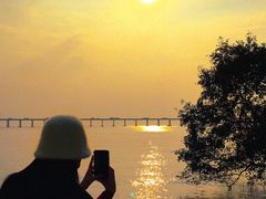 -宝安西湾红树林湿地公园