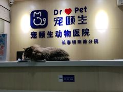 -宠颐生动物医院·心脏科·保险定点(锦阳分院)