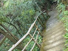 -东天目山风景区