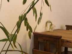 -Ginko银子(青龙街店)