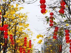 -洲头咀公园