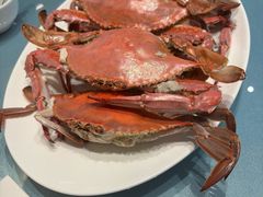 -大连湾旭日·家宴·海肠捞饭(马栏广场店)