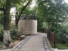 -桃花堤公园