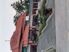 -大屏嶂森林公园