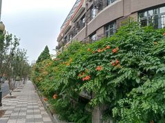 -岳阳道小学(大理道校区)