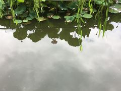 -月牙潭公园