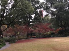 -申粤轩酒楼·三十年粤菜经典(丁香花园店)