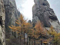 -崂山巨峰游览区