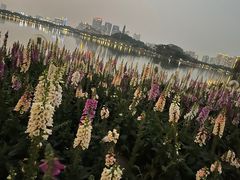 -顺峰山公园