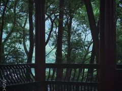 -峨眉山报国寺