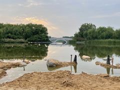 -大兴滨河森林公园