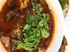 毛血旺-苏启渔港(云南北路店)