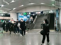-大望路(地铁站)