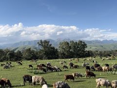 -新疆那拉提国家旅游度假区