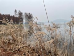 -四明湖