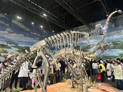 -自贡恐龙博物馆