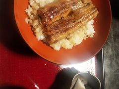 -料亭菊水楼