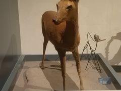 -大庆市博物馆
