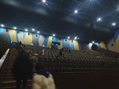 -天幕新彩云国际影城(激光巨幕店)