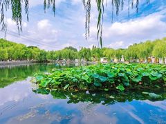 -百花洲