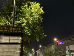 -武汉关码头(轮渡站)