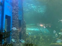 -嘉兴海底世界