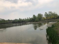 -东郊湿地公园