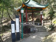 -长沙黑麋峰国家森林公园