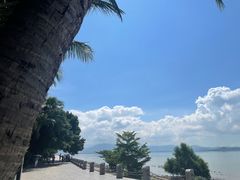 -深圳湾公园(南山区)
