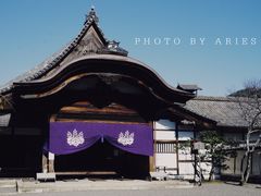 -醍醐寺