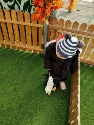 -萌宠亲子动物乐园(槐房万达店)