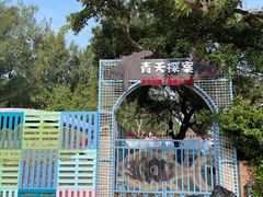 -鹿嘴山庄