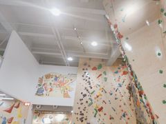 -ROCKPLUS攀岩馆(环宇城店)