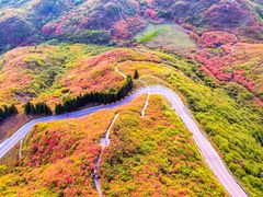 -大围山国家森林公园