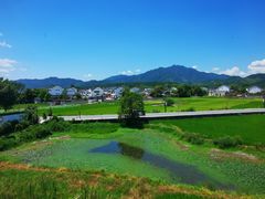 -黄牛肉馆·皖南土菜