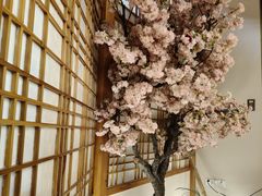 -汤泉良子.足疗按摩.SPA(中关村店)