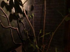 -格兰酒吧Glen Bar