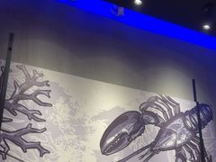 -红盔甲·小龙虾(车公庙店)