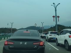 -庐山风景名胜区-东林大佛