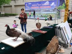 -陕西自然博物馆