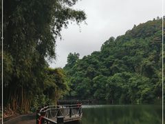 -江西阳明山国家森林公园